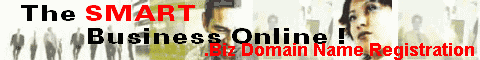 .Biz Domain Name Registration