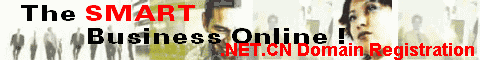 .NET.CN Domain Registration